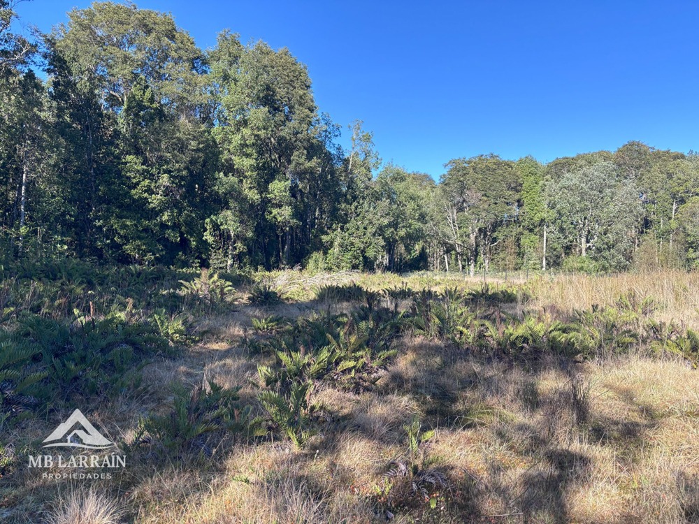 Las Tranqueras Condominium, Puerto Varas - Imagen 7