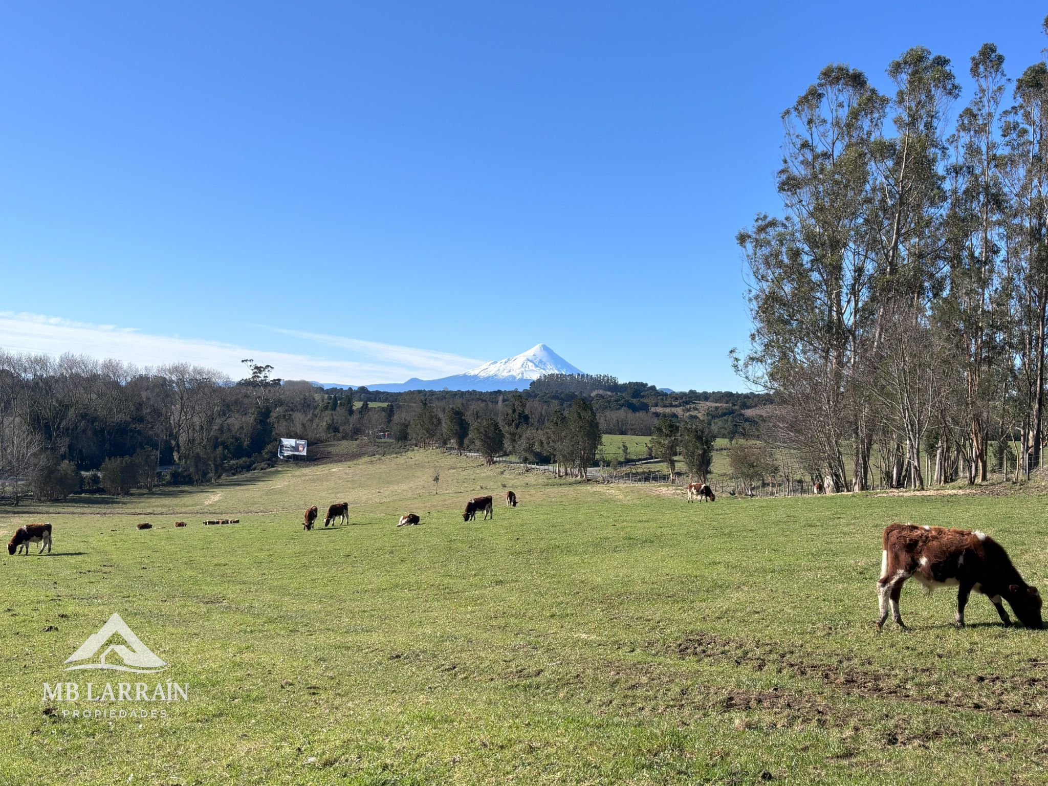 Las Tranqueras Condominium, Puerto Varas - Imagen 9