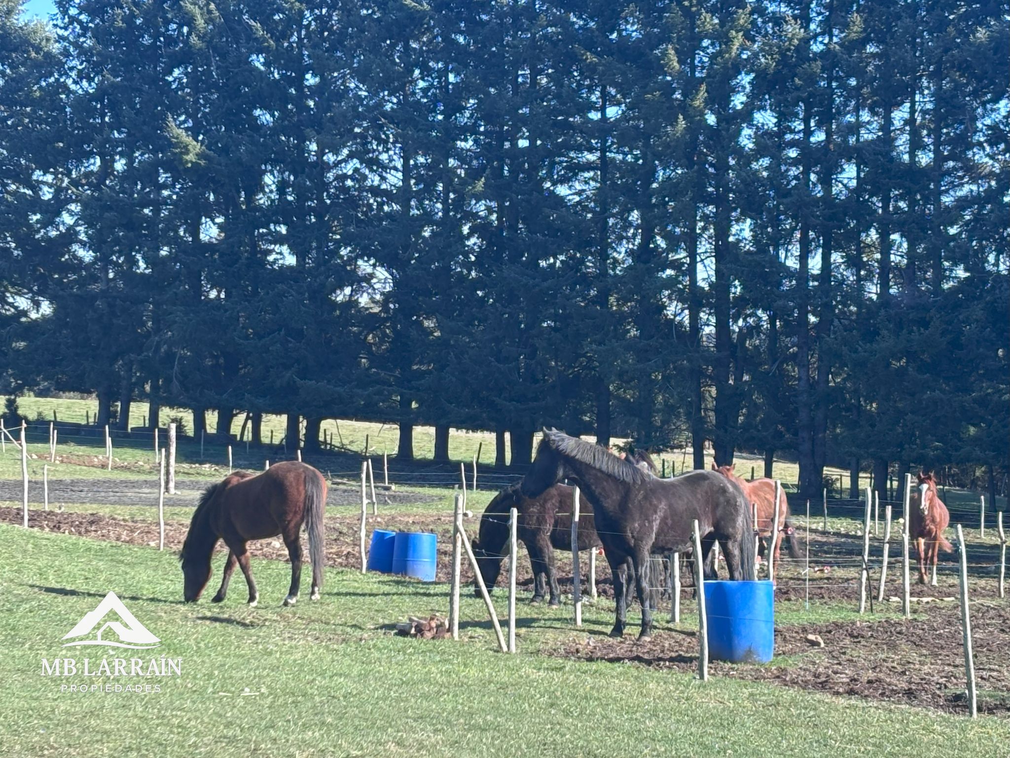 Las Tranqueras Condominium, Puerto Varas - Imagen 6