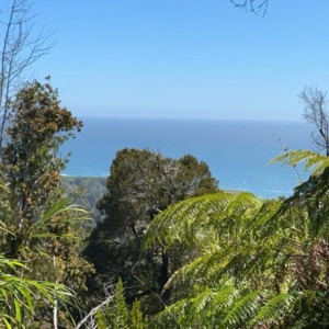 Llico Bajo, Los Muermos
