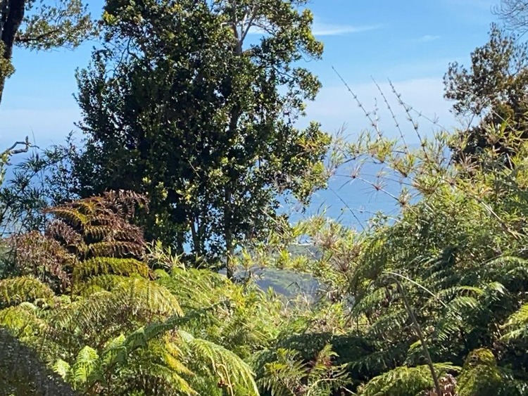 Llico Bajo, Los Muermos - Imagen 5